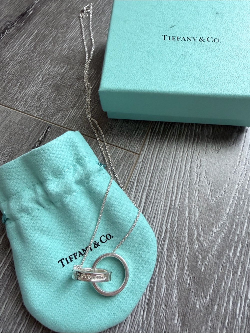 Tiffany & Co. 1837 Interlocking Circles Silver Necklace